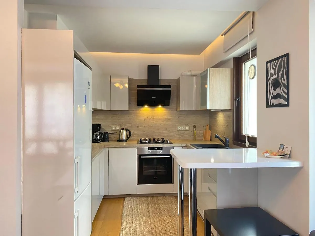 이스탄불 Charming Flat With Central Location In Nisantasi 아파트 터키