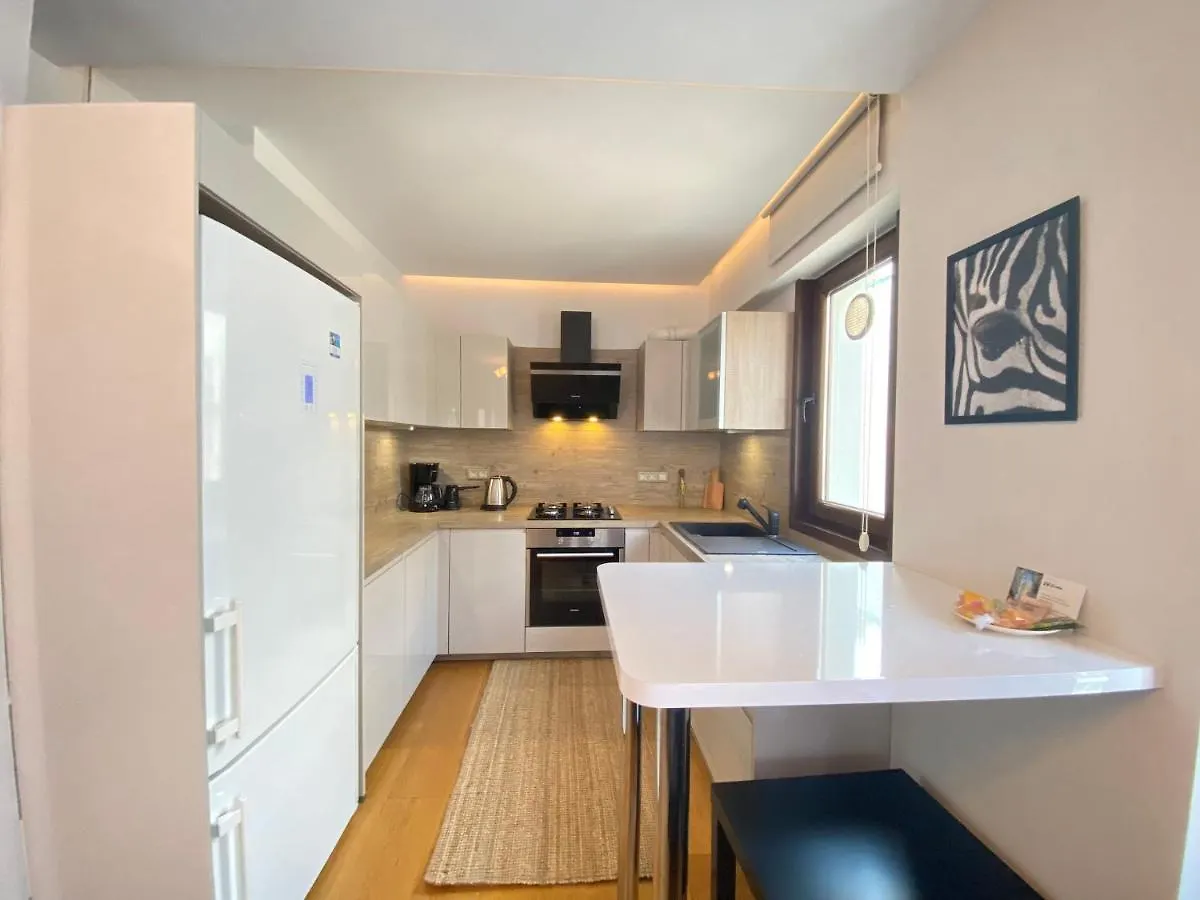 Charming Flat With Central Location In Nisantasi Apartment Istanbul